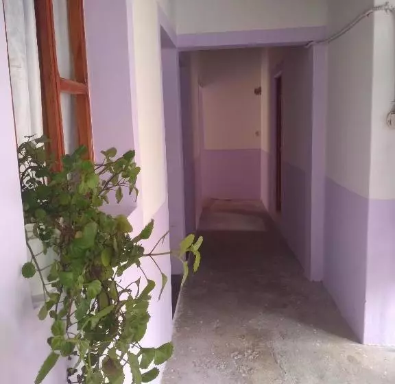 Hotelli El Wichiku Recidencial   Resto Bar