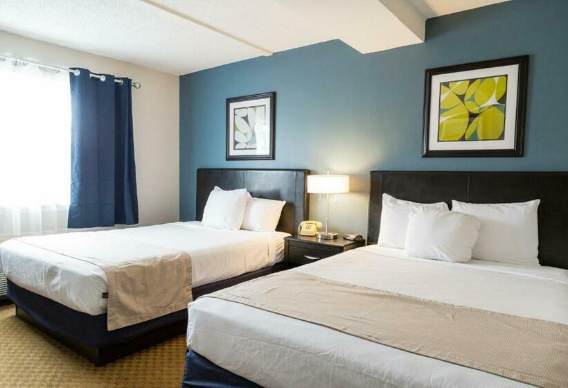 Отель Quality Inn & Suites