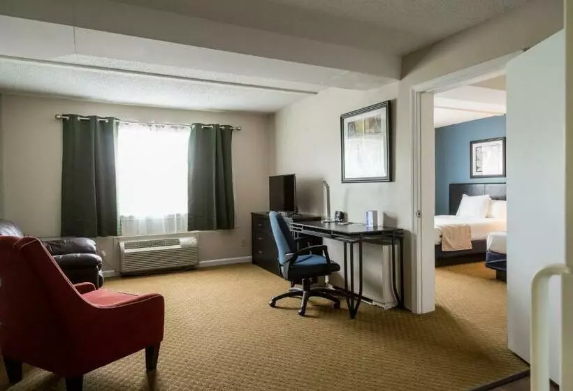 Hotelli Quality Inn & Suites