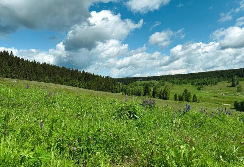 Пансион Wellness Penzion Lázně Kvilda