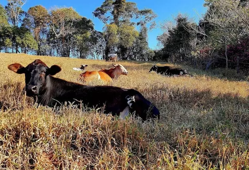 ベッドアンドブレックファースト Sítio Belucci