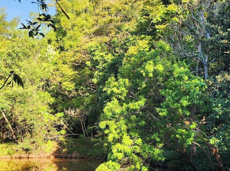 Bed and Breakfast Sítio Belucci