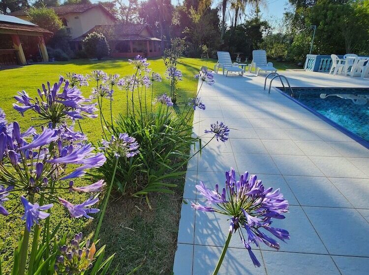 Bed and Breakfast Sítio Belucci