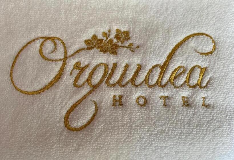 Otel Orquídea