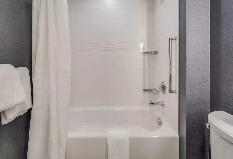 Hotelli Residence Inn By Marriott Dallas Dfw Airport West/bedford