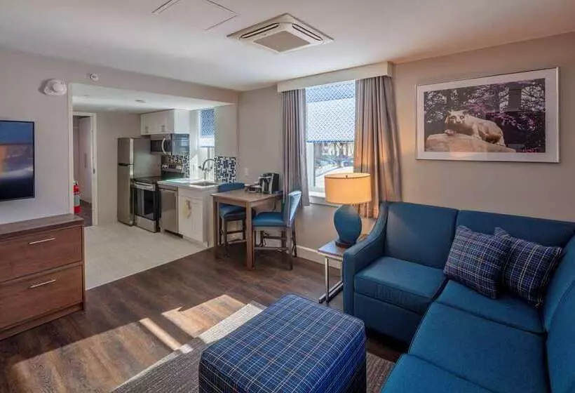 ホテル Scholar State College, Tapestry Collection By Hilton