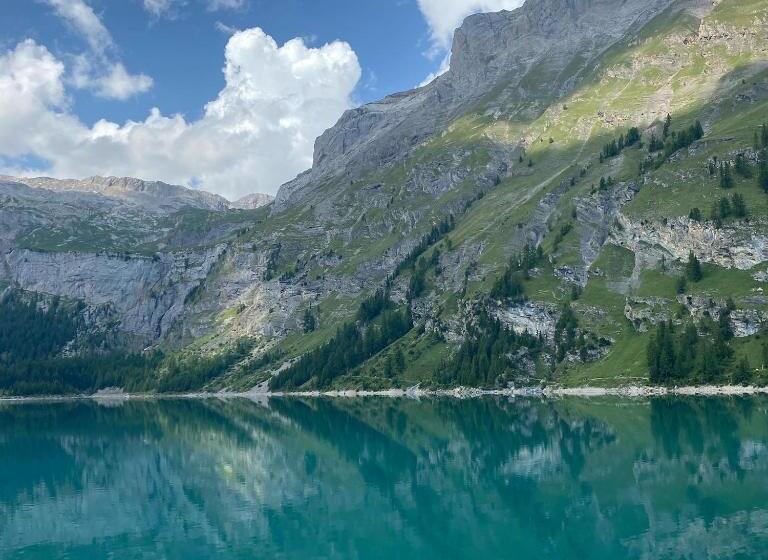 Woodland Village Anzère
