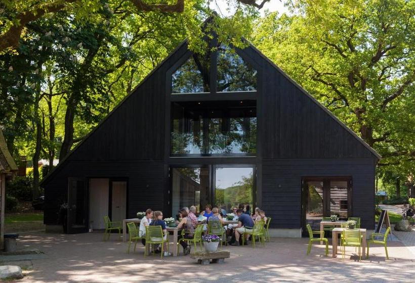 Bed & Breakfast Hoeve Springendal