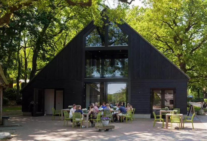 Bed & Breakfast Hoeve Springendal