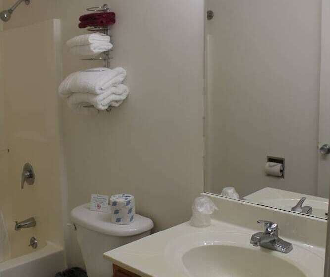 Отель American Host Inn