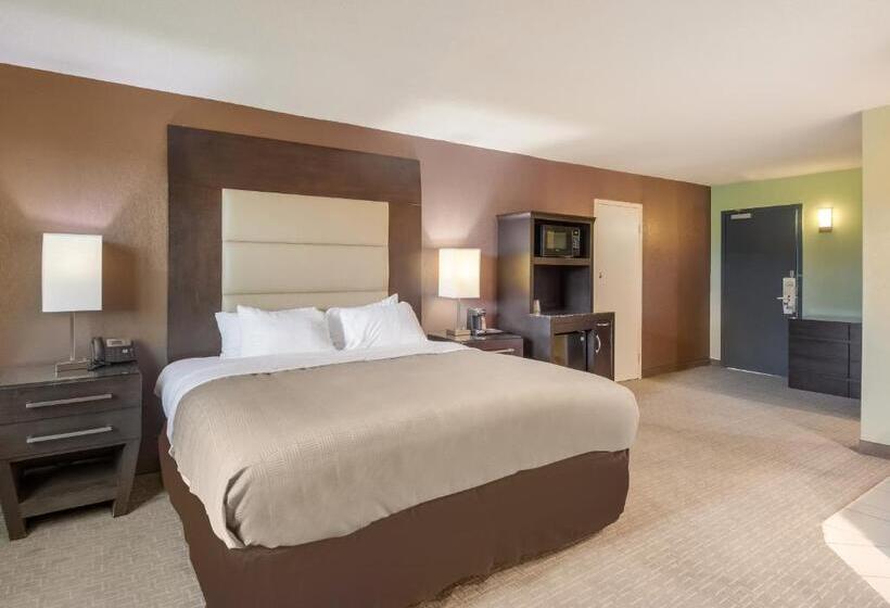 ホテル Clarion Inn