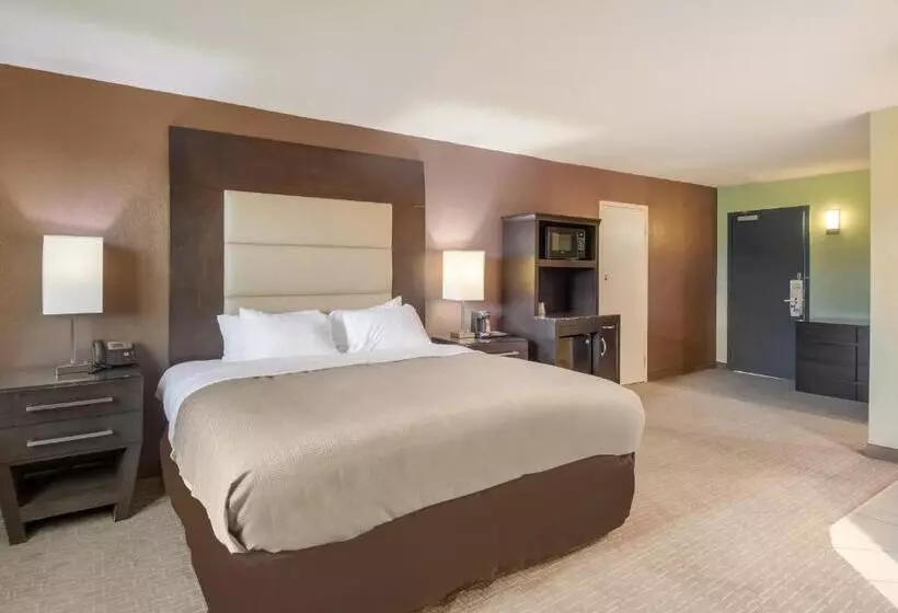 ホテル Clarion Inn