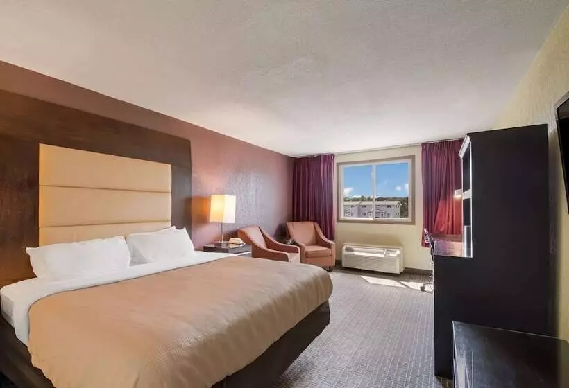 ホテル Clarion Inn