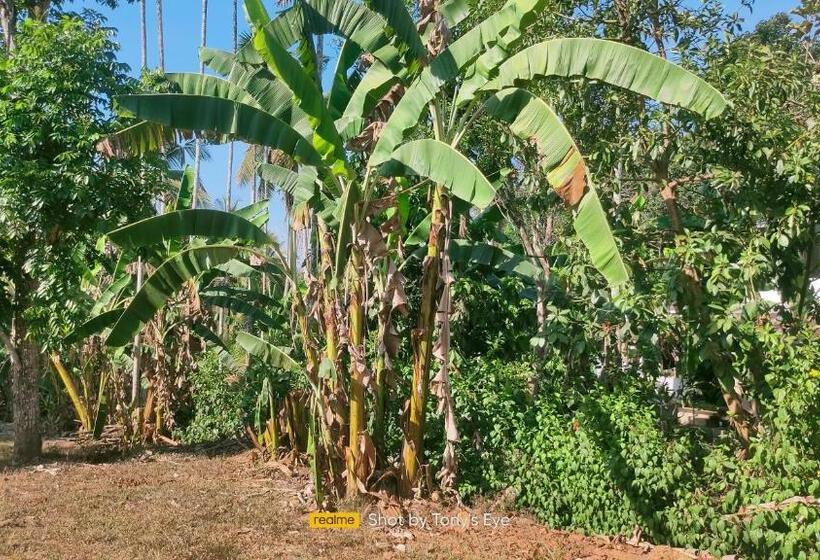 فندق Gooseberry Family Retreats   Wayanad By Karapuzha Resorts