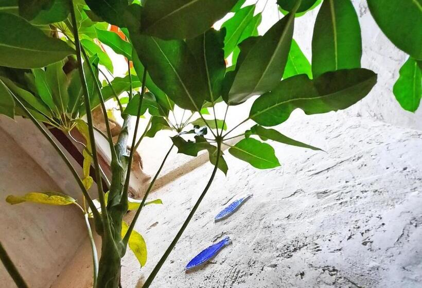 بنسيون Blue Sardine Hostal Boutique Altea Adults Only