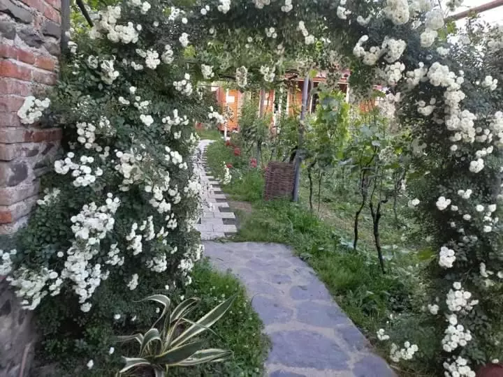 پانسیون Cottage And Gigo Papa's Wine Cellar
