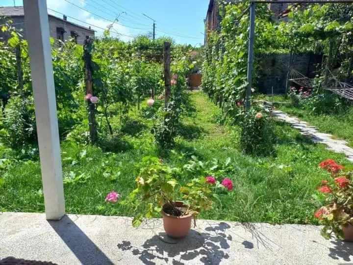 پانسیون Cottage And Gigo Papa's Wine Cellar
