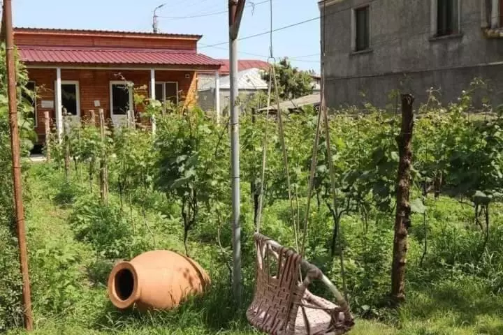 پانسیون Cottage And Gigo Papa's Wine Cellar