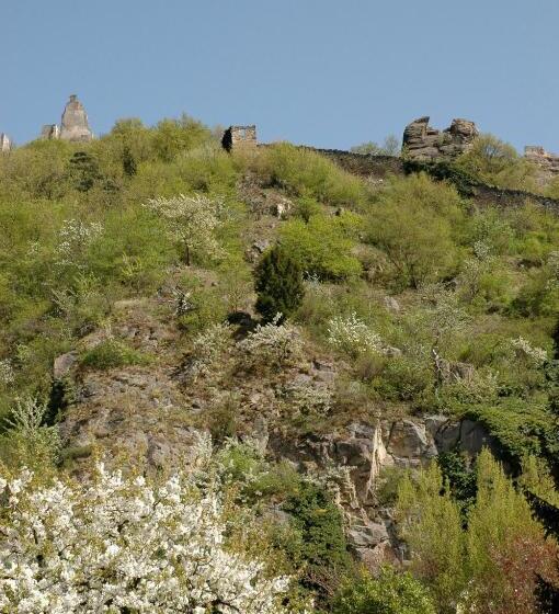 Ad Vineas Gästehaus Nikolaihof Hotel Garni