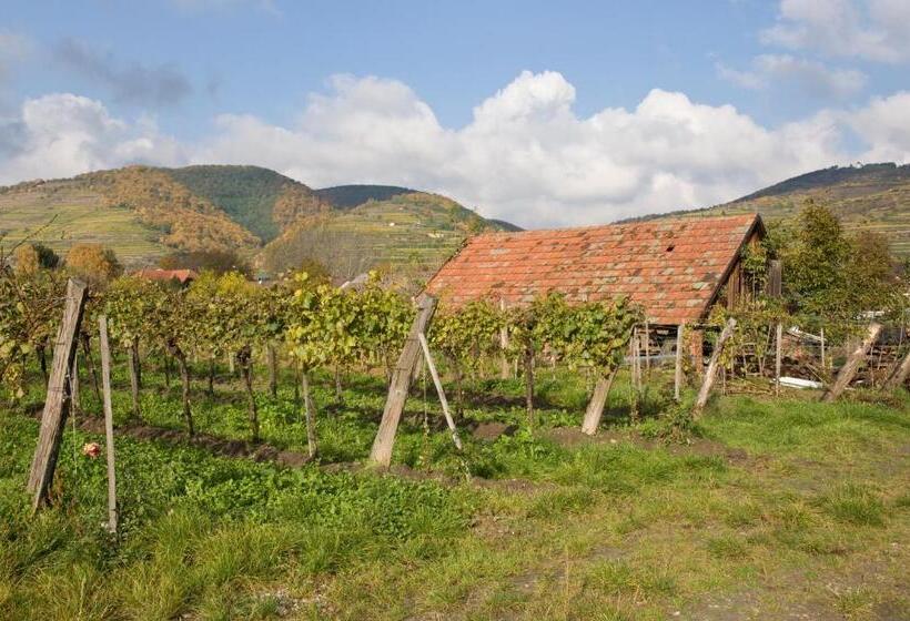Ad Vineas Gästehaus Nikolaihof Hotel Garni