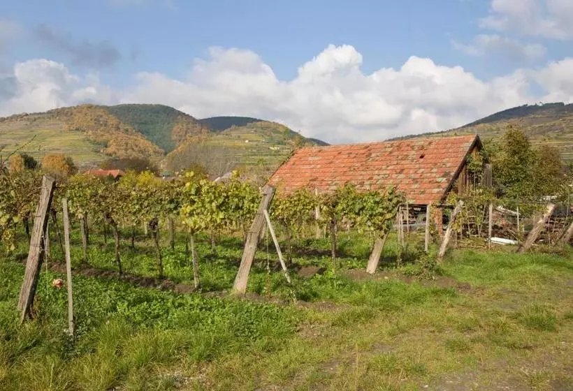 Ad Vineas Gästehaus Nikolaihof Hotel Garni