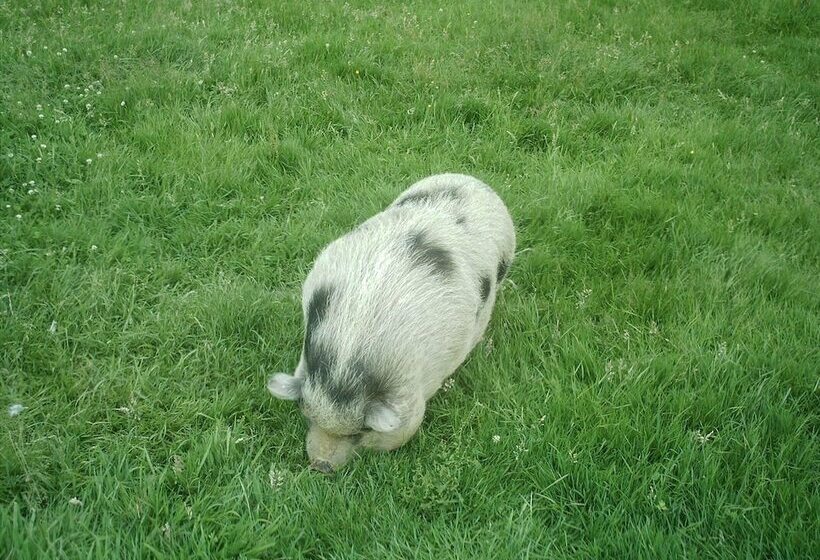 Bed and Breakfast Arret Et Aller