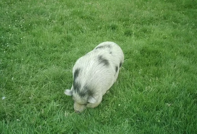 Aamiaismajoitus (B&B) Arret Et Aller