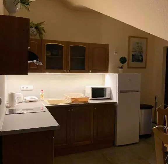 ベッドアンドブレックファースト Balaton Kinizsi Apartman