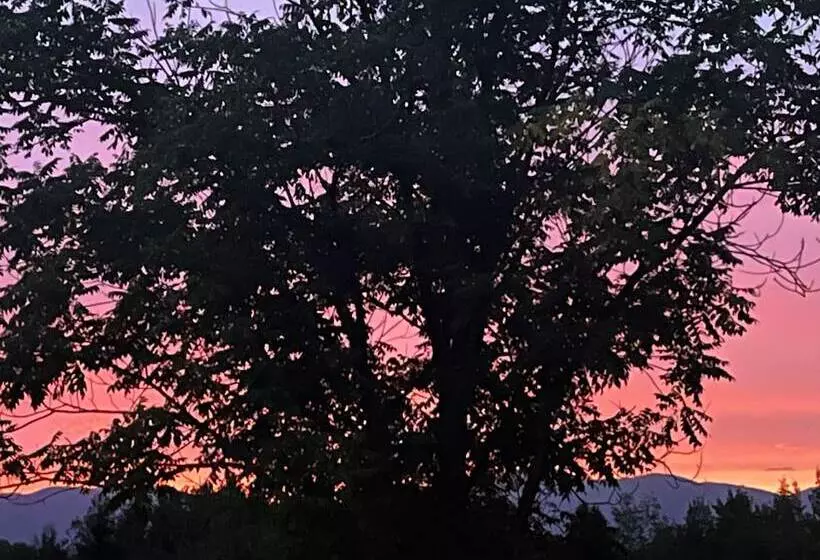 Aamiaismajoitus (B&B) L'aubergine