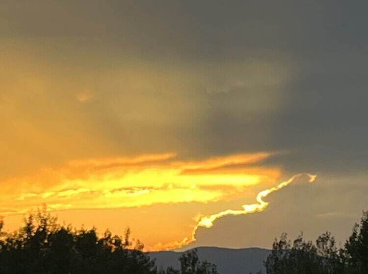 住宿加早餐  L'aubergine