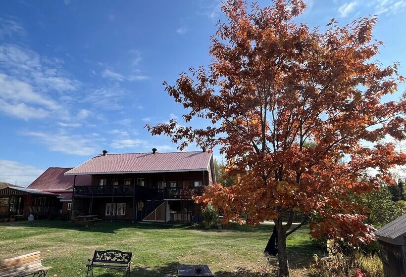 住宿加早餐  L'aubergine