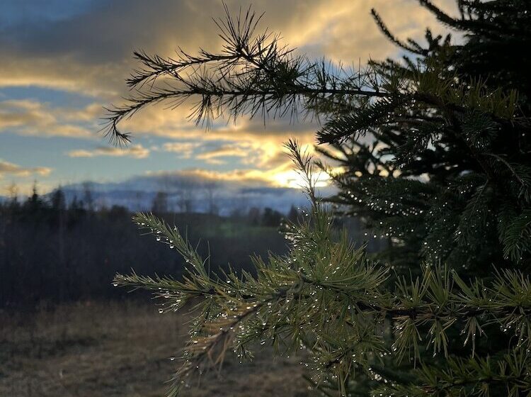 住宿加早餐  L'aubergine