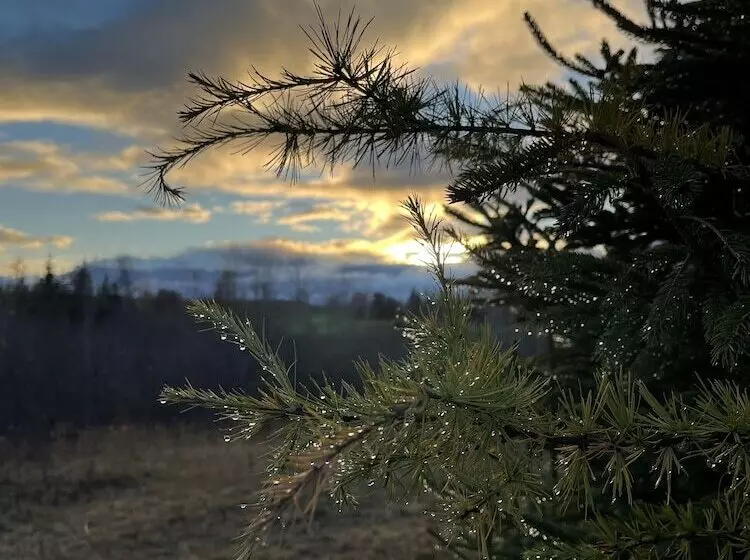 Aamiaismajoitus (B&B) L'aubergine