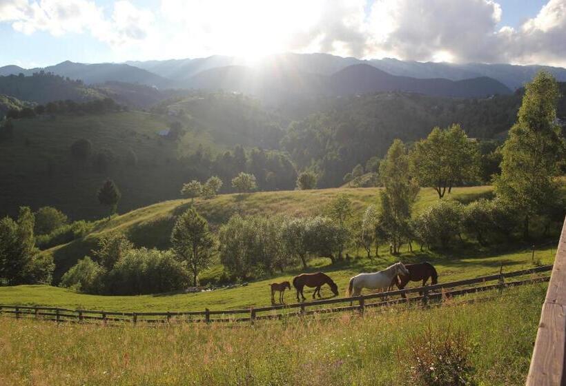 פנסיון Akasha Retreat