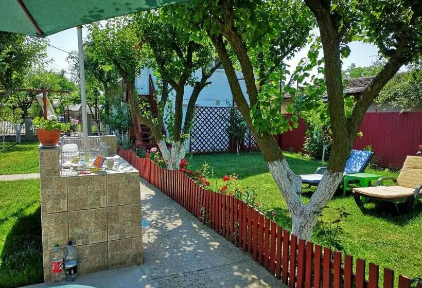 ペンション Casa Cu Foisor