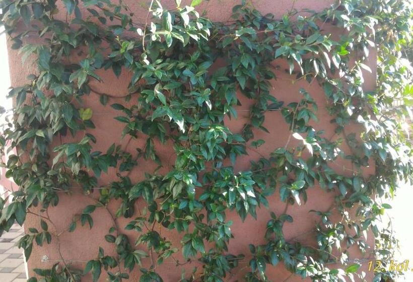 پانسیون Pansion Crnjac