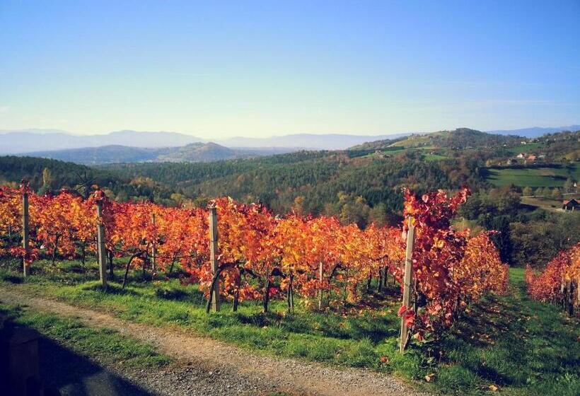 بنسيون Weingut Reiterer