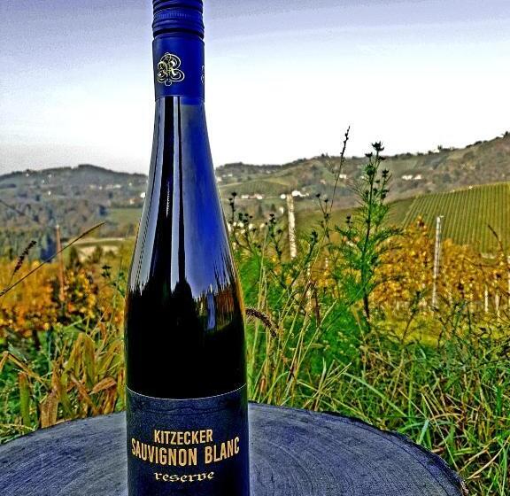 بنسيون Weingut Reiterer