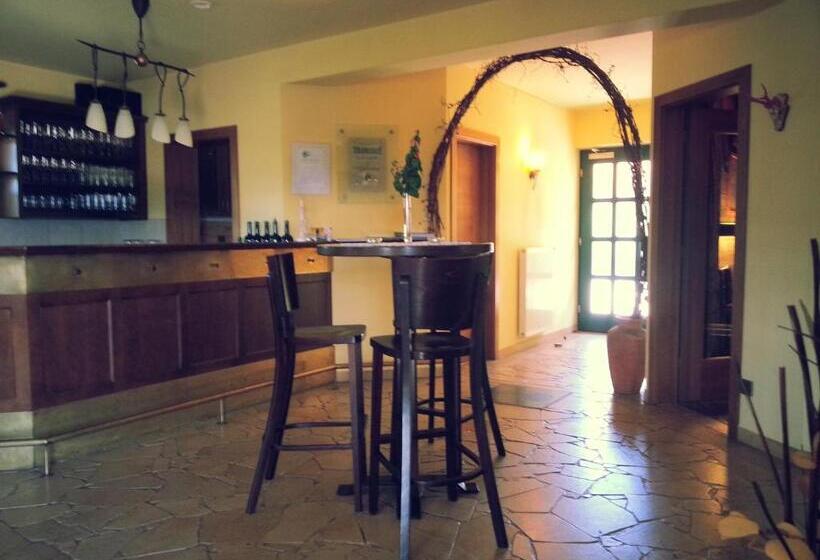 بنسيون Weingut Reiterer