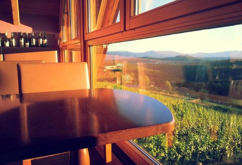 بنسيون Weingut Reiterer