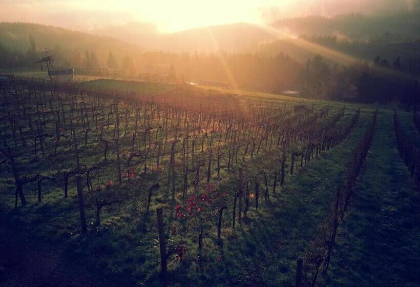 بنسيون Weingut Reiterer