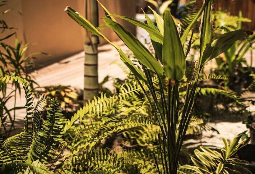 Pansiyon Endheri Sunset Dhangethi