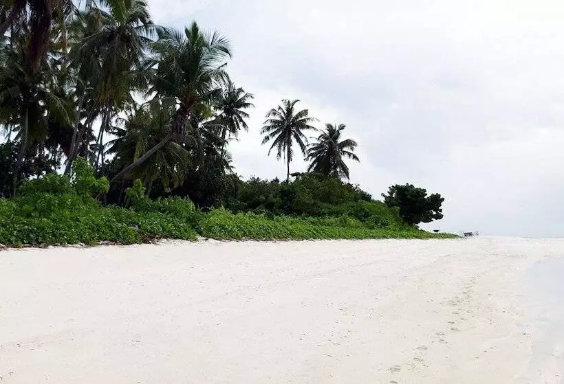 پانسیون Endheri Sunset Dhangethi