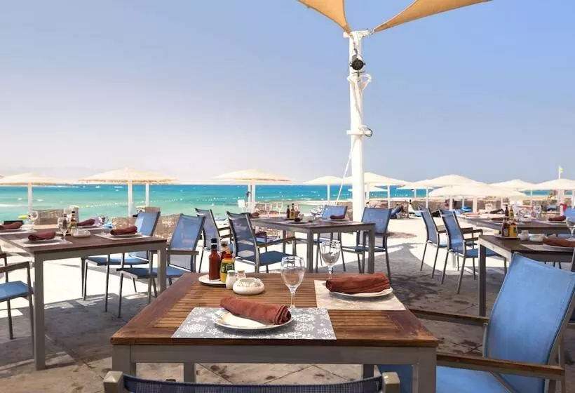 בית מלון כפרי Barceló Tiran Sharm