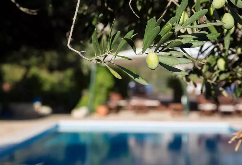 Hotel Diva Residence