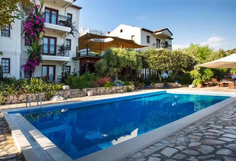 Hotel Diva Residence