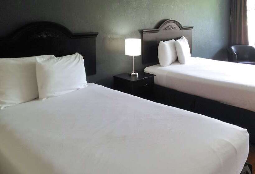 فندق Econo Lodge