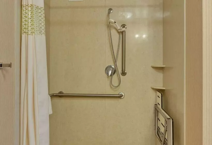 Отель Hampton Inn & Suites Sacramentoairportnatomas