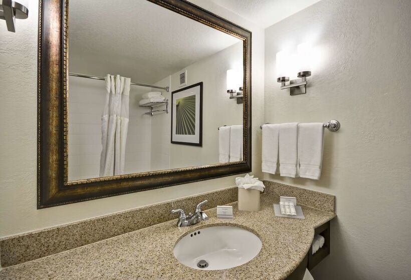 Отель Hilton Garden Inn Sarasotabradenton Airport