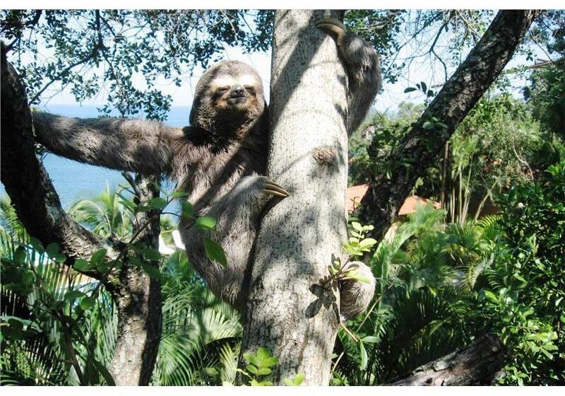 هتل Ilha De Toque Toque Eco